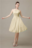 Halter  A-line Knee-Length Chiffon Bridesmaid Dresses