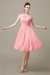 Halter  A-line Knee-Length Chiffon Bridesmaid Dresses