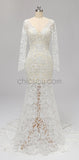 Long Sleeves Full Lace Mermaid Elegant Long V Neck Wedding Dresses, Prom Dresses LMX1123