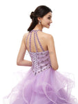 Halter Lilac Organza Lace Up Ball Gown Long Evening Prom Dresses , XDM1174