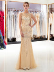 Mermaid Beaded Long Evening Prom Dresses SDP1161